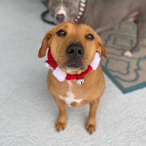 Meet your Posher, Jayne